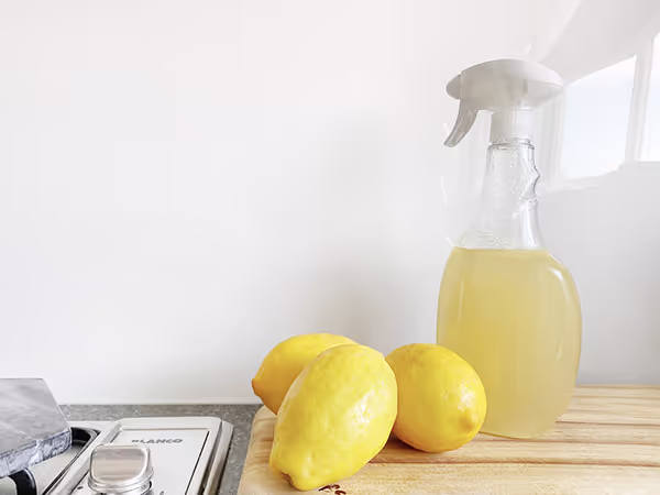 Green home cleaning products