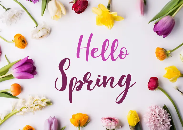 adobestock 195975673 e1567192391