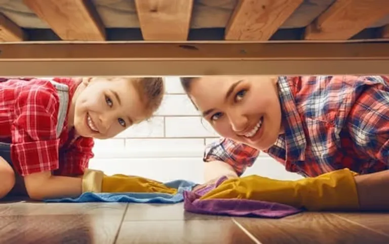 shutterstock 383146987 768.avif