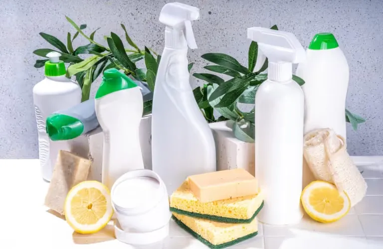 why green cleaning is growing am