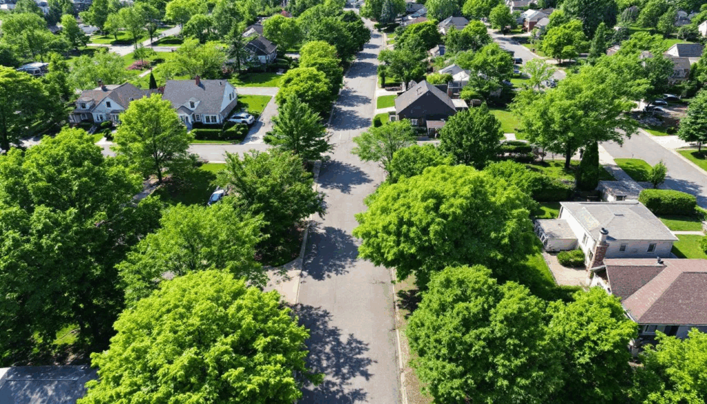 3d6f1b65 ce6d 45f5 99d0 ca22d529f338