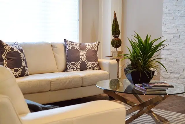 Modern living room with plants and decor
